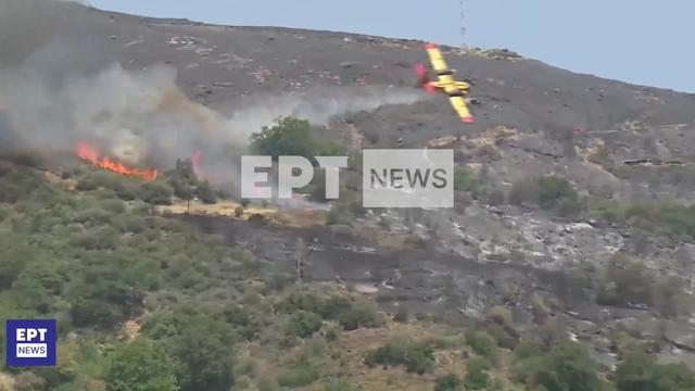 Canadair si schianta in Grecia mentre spegne incendi, morti i due piloti